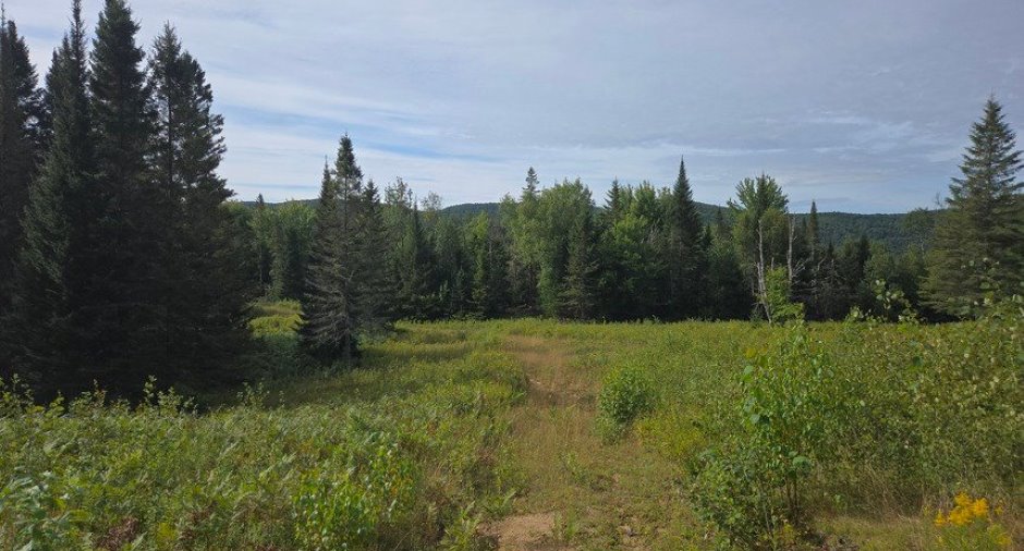 Land/Lot