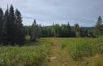 Land/Lot