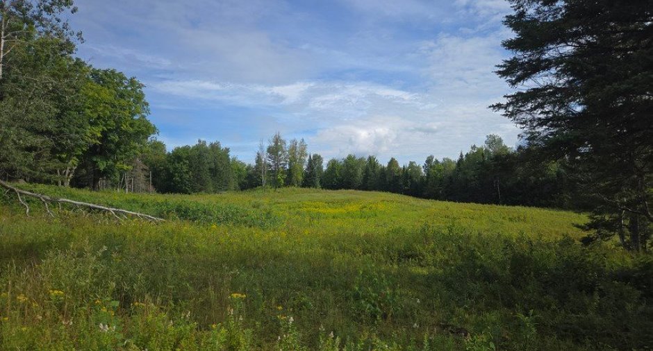 Land/Lot