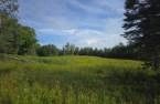 Land/Lot
