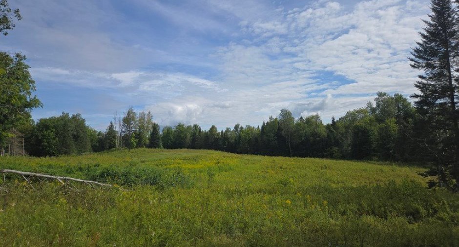 Land/Lot