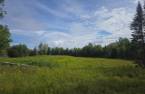 Land/Lot