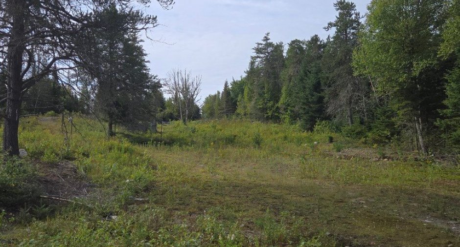 Land/Lot