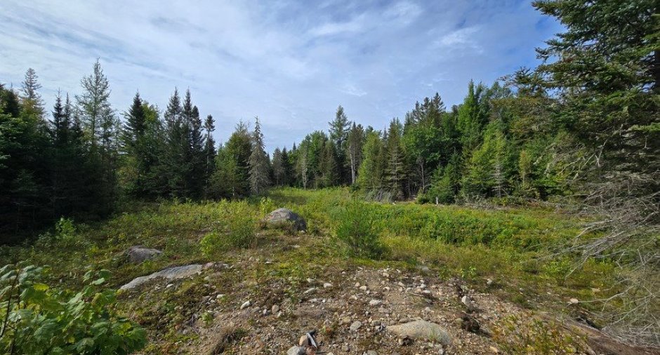 Land/Lot