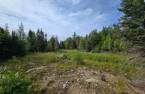 Land/Lot