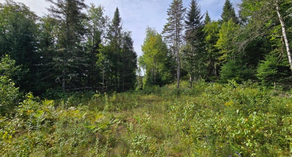 Land/Lot