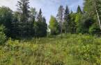 Land/Lot