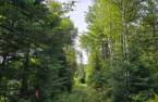 Land/Lot