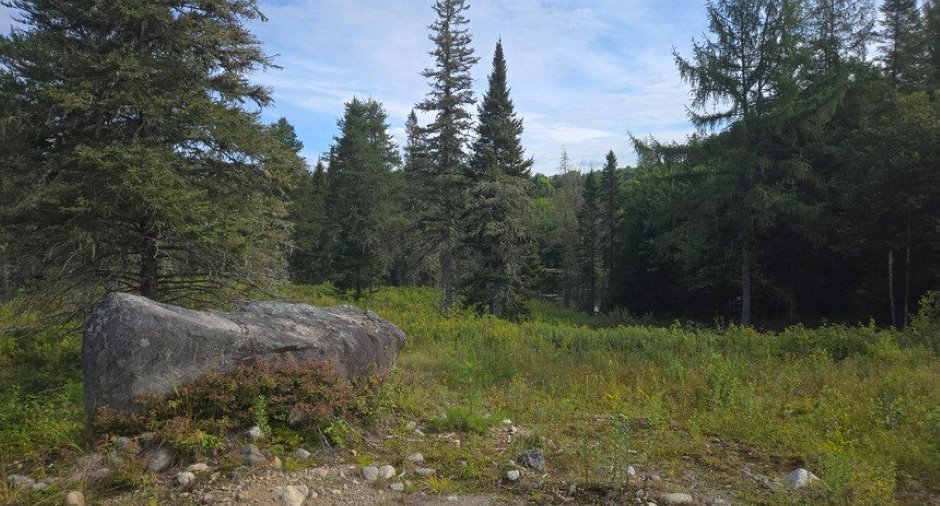 Land/Lot