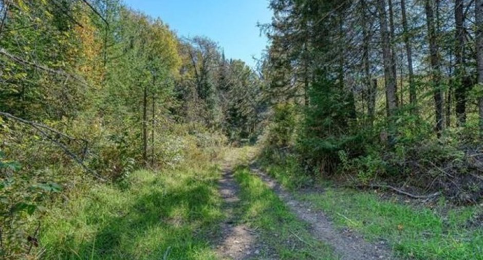 Land/Lot