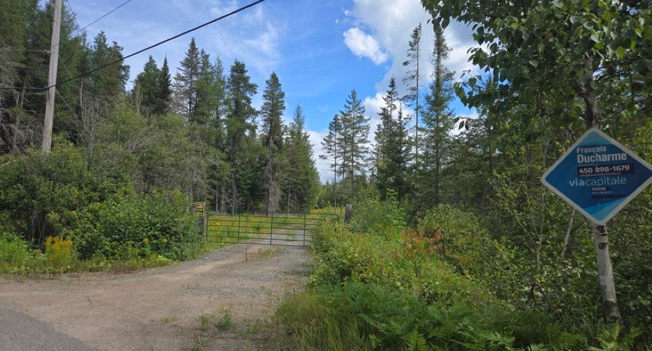 Land/Lot