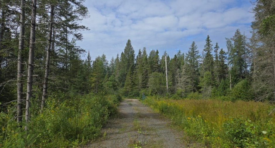Land/Lot