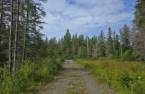 Land/Lot