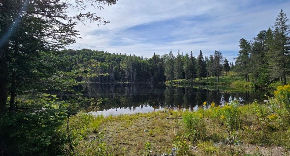Water view