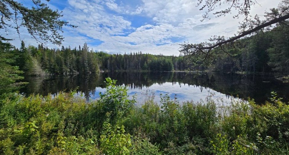 Water view