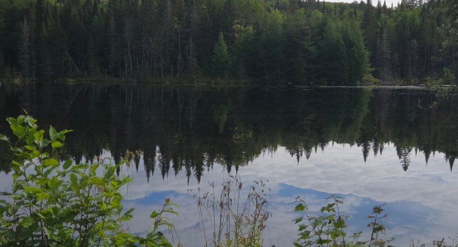 Water view
