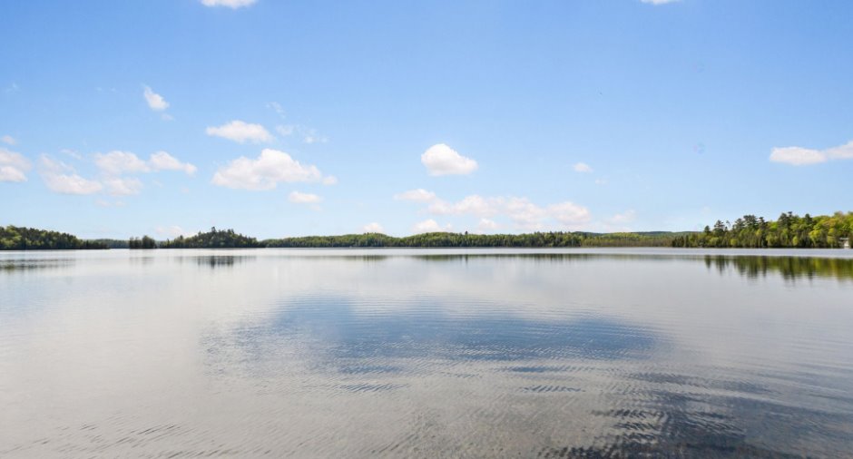 Bord de l'eau