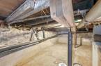 Cellar / Cold room