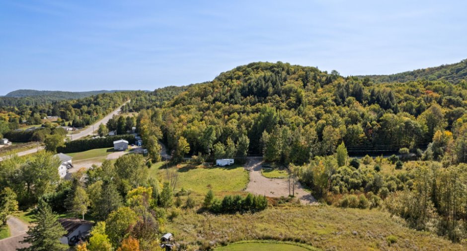 Overall View