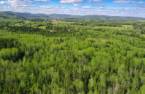 Land/Lot