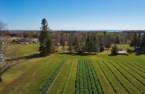 Land/Lot