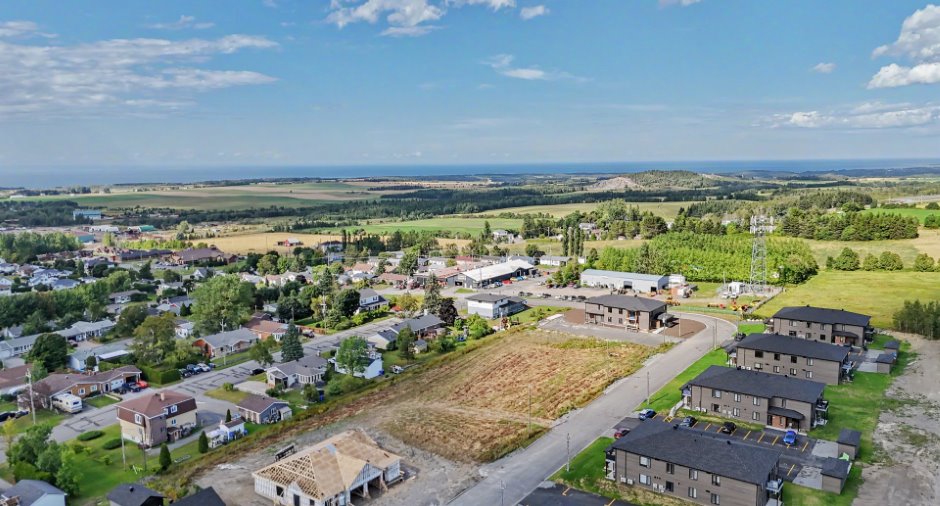 Overall View