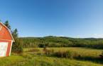 Terre/Terrain