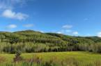 Terre/Terrain