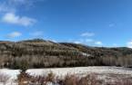 Terre/Terrain