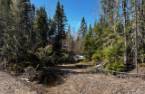 Terre/Terrain