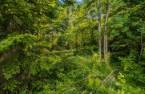 Terre/Terrain