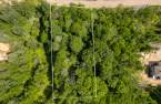 Terre/Terrain