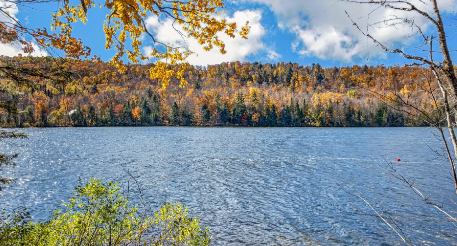 Vue sur l'eau