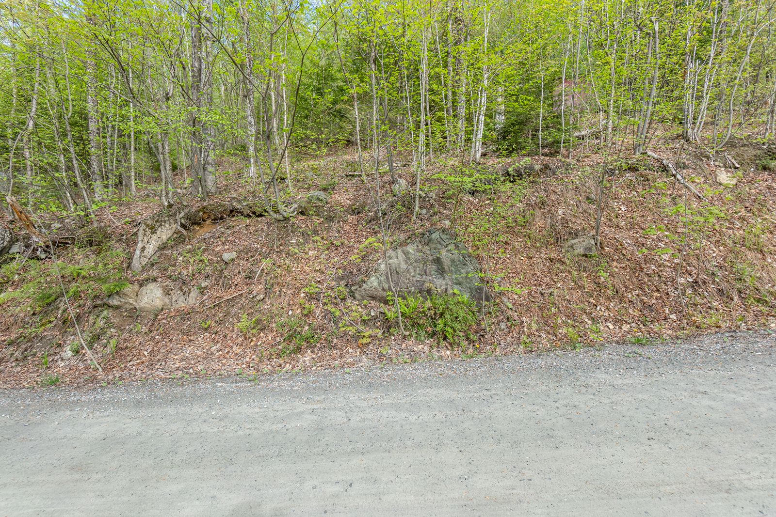 Terre/Terrain