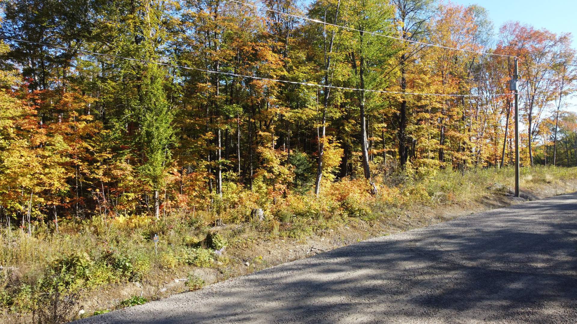 Rue Éléodore-Langevin — photo 1