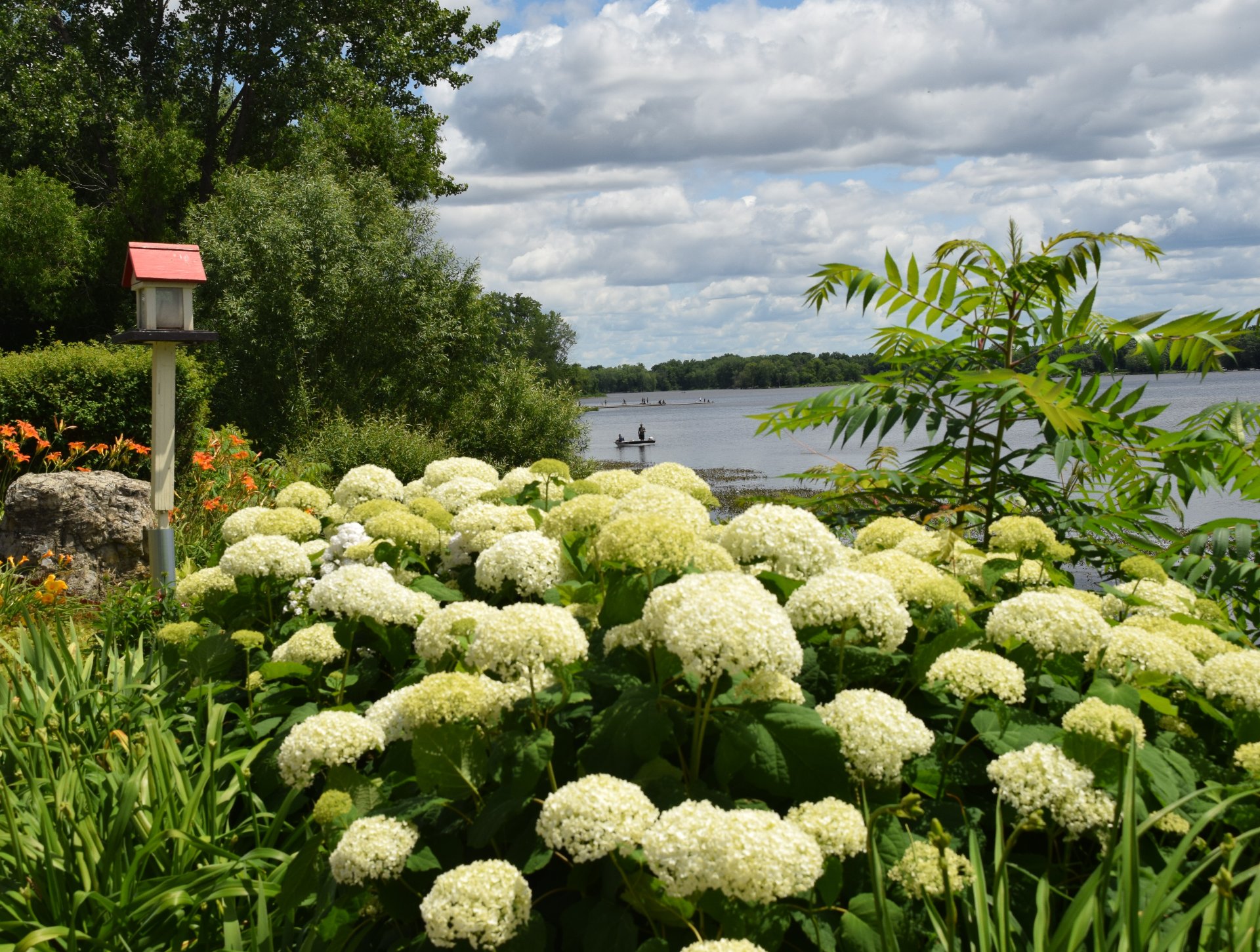 Vue sur l'eau
