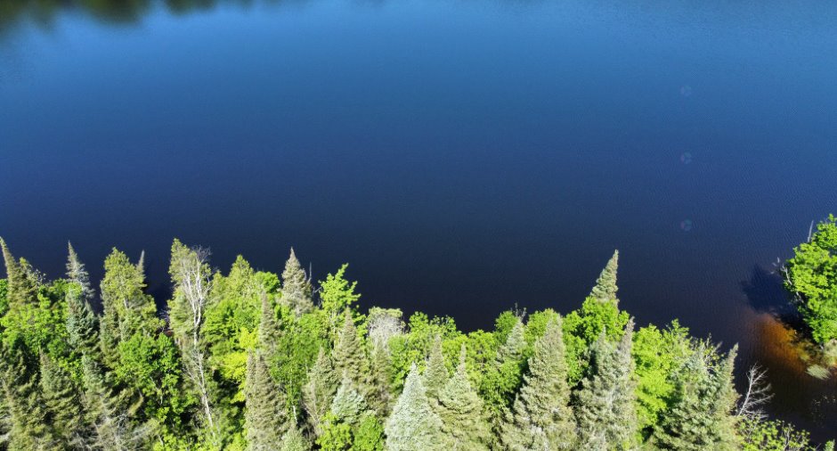 Vue sur l'eau