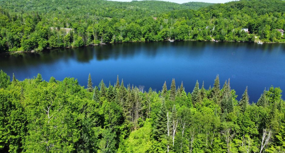 Vue sur l'eau
