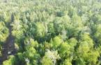 Terre à bois