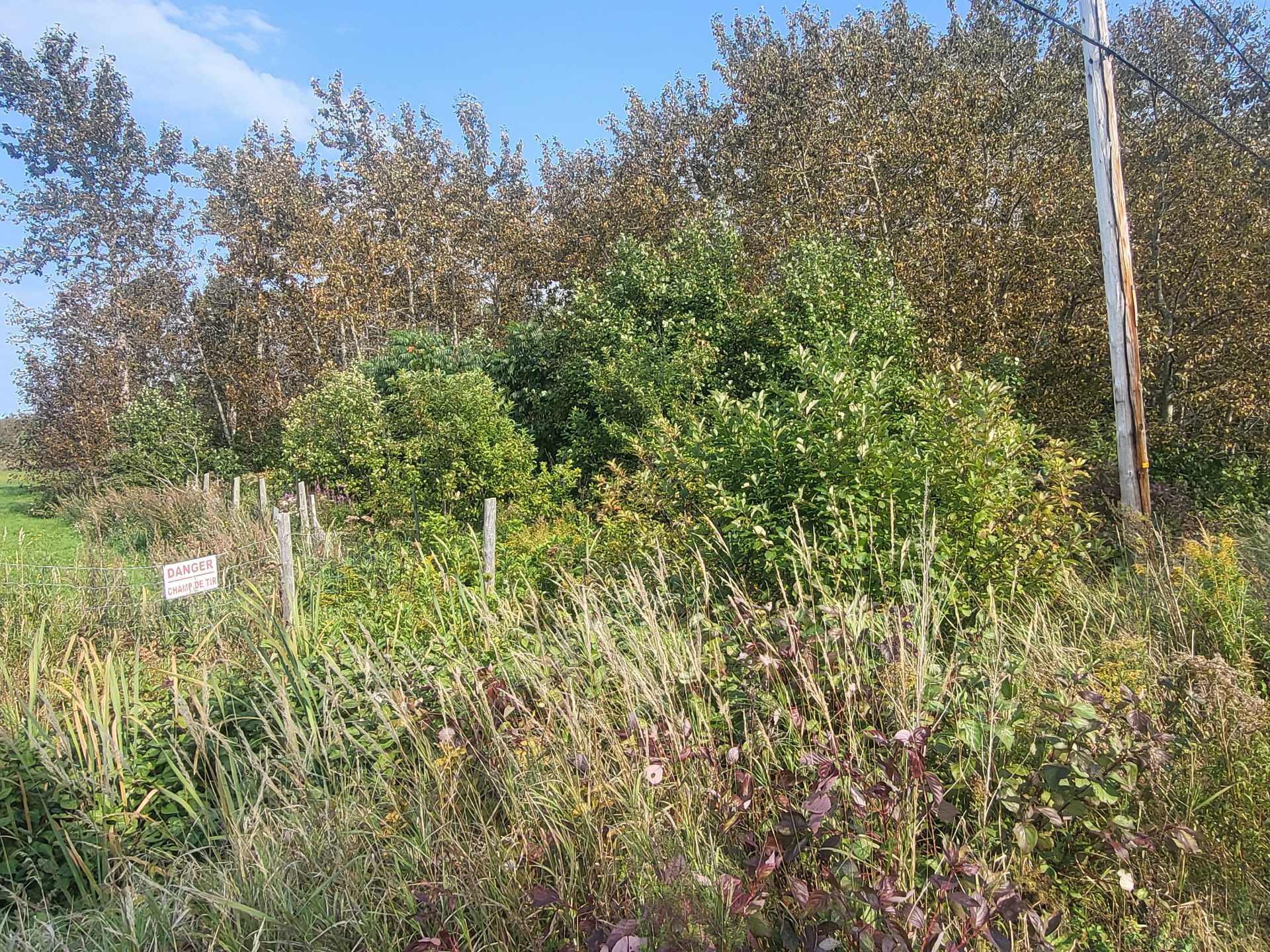 2e rang de Neigette E. — photo 2