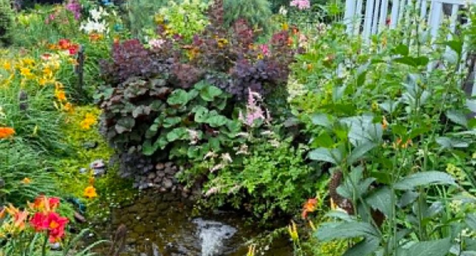 Accès au plan d'eau