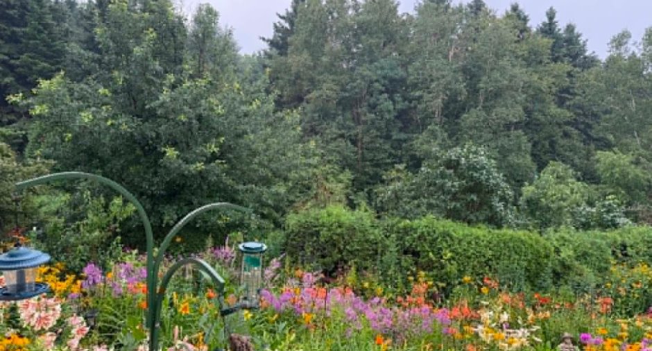 Jardin