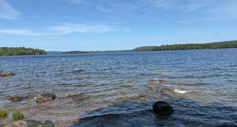 Vue sur l'eau