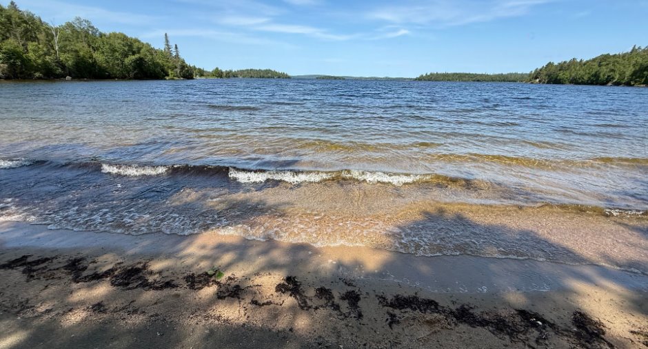 Vue sur l'eau