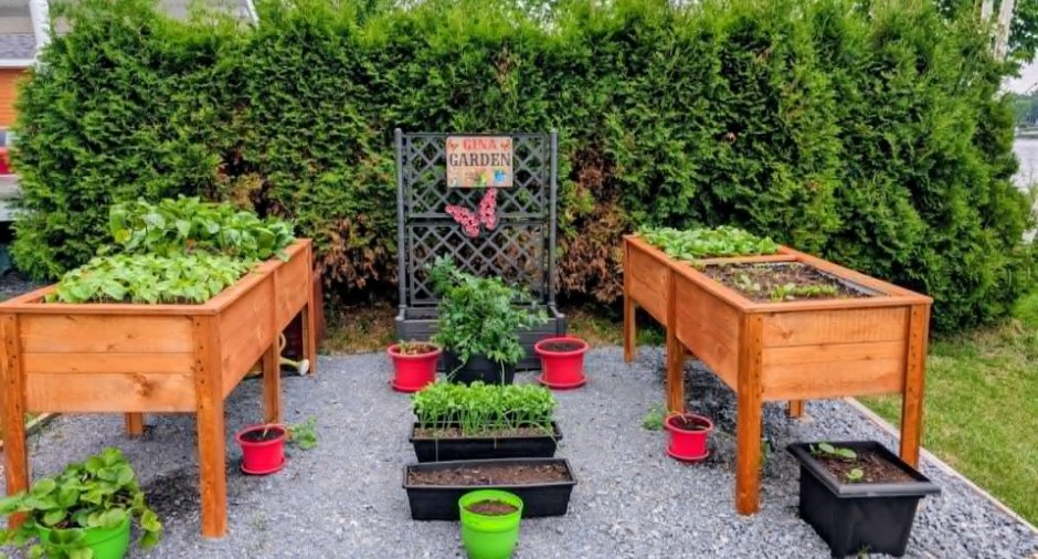 Jardin