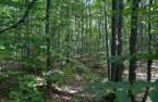 Terre/Terrain