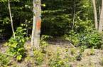 Terre/Terrain