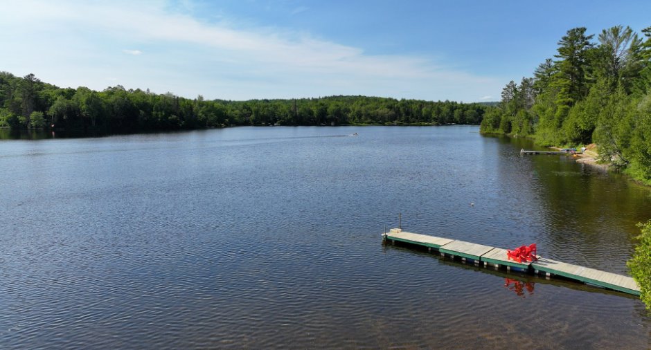 Bord de l'eau