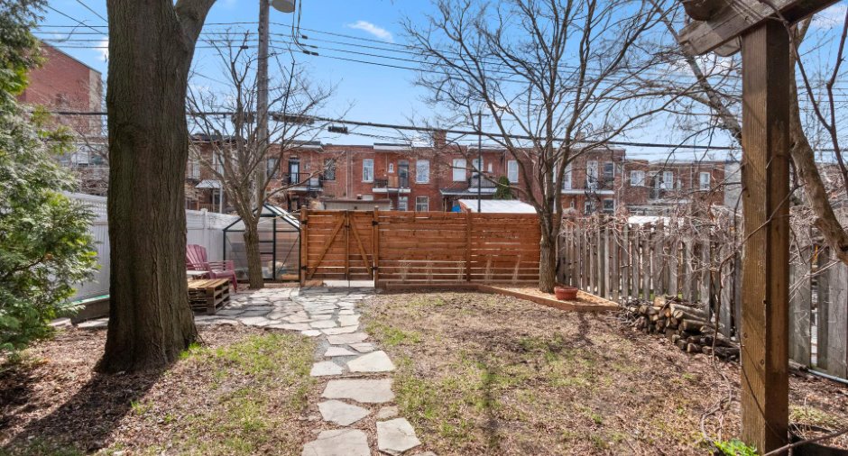 Backyard