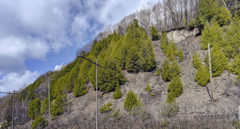 Terre/Terrain